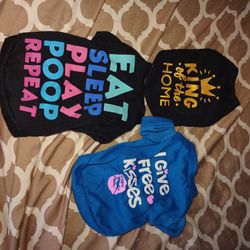 Sweaters And Shirts XS
