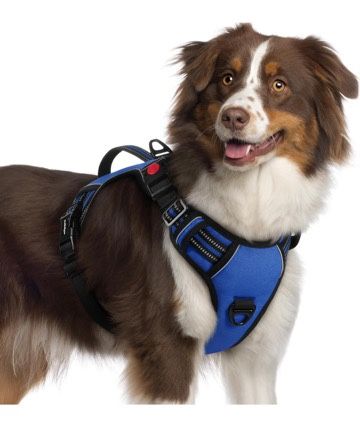 NEW Medium Size rabbitgoo Dog Harness - Blue