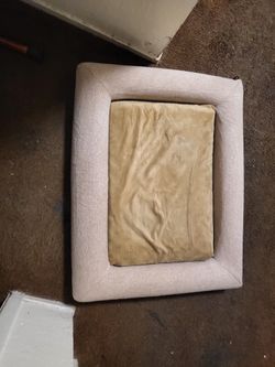 Dog Bed