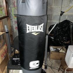 Everlast 100lb C3 Foam Heavy bag 