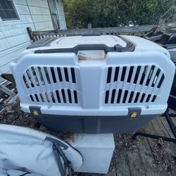 Dog Kennel 