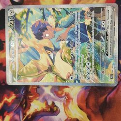 Hop's Zacian SIR Journey Together