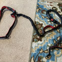 Dog Leash For Running, Hiking Or Walking 