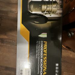 Professional Condenser Microphone