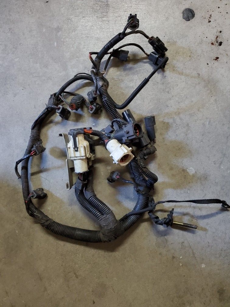 Ford, Mustang 87-93 Foxbody, Salt And Pepper Shakers Engine Harness Connector