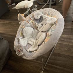 Fisher Price Baby Bouncer