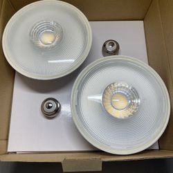 Flood LED Light 