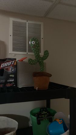 Talking Cactus Toy