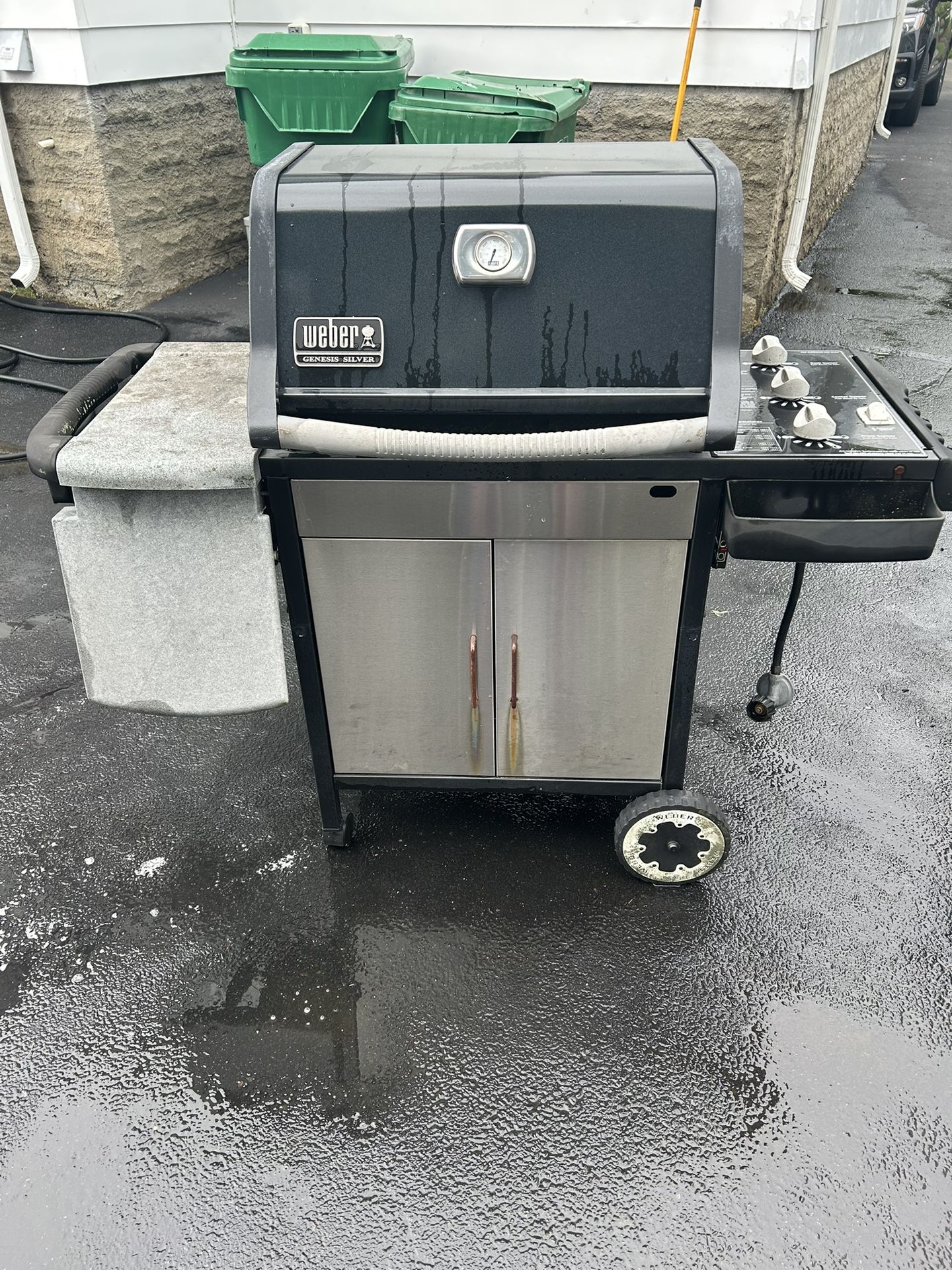 Weber Genesis Grill