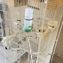 Small Parrots with cage