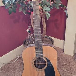 Fender 12 String Guitar