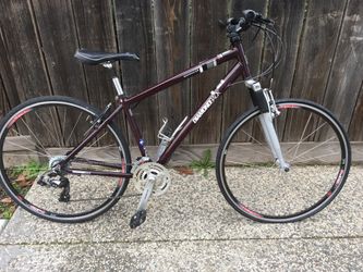 diamond back edgewood lx