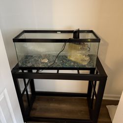 Tank For Most Fish/Reptiles