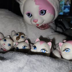 Kitty Surprise: Snow 2015