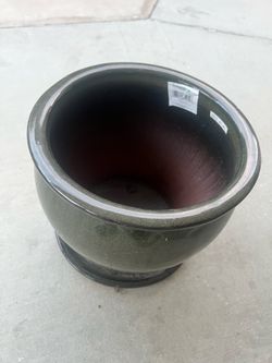Pot