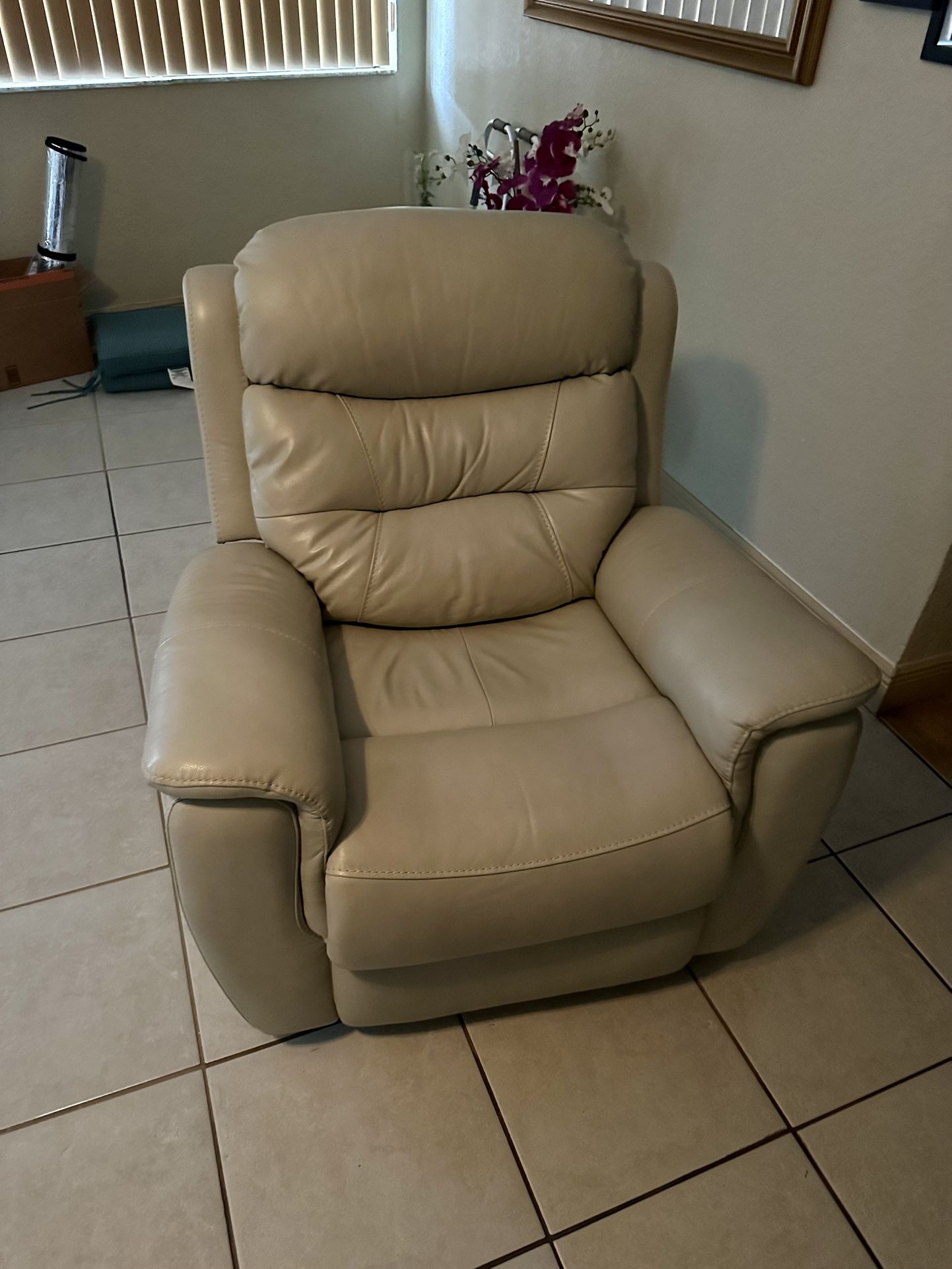 Leather Recliner