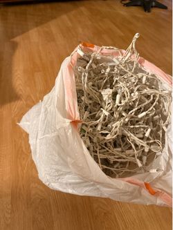 Clear String Lights - $5