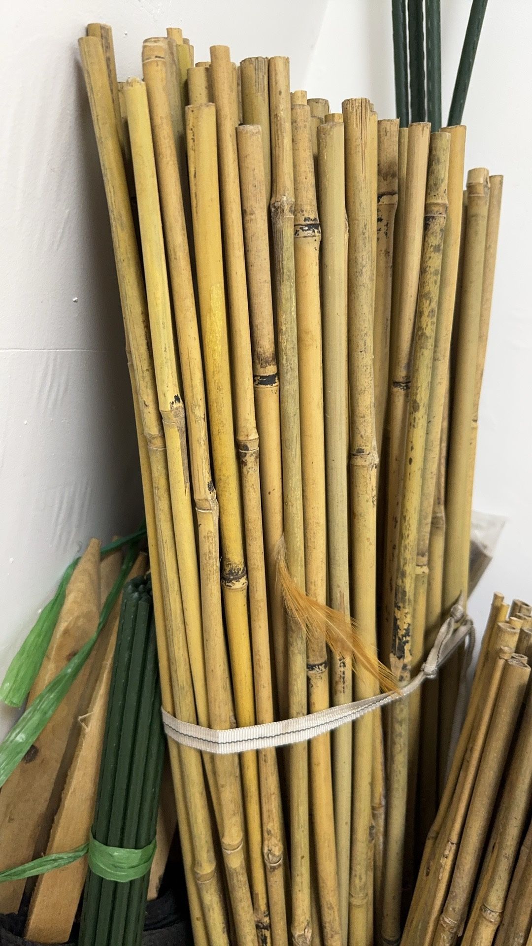 Nature Bamboo Plant Stakes -4 ft / 1.2m (Pack of 50)