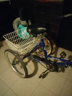Adult Triciclo