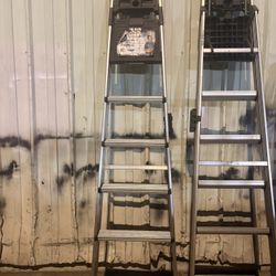 Cosco Latter 8ft