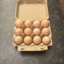One dozen eggs $10
