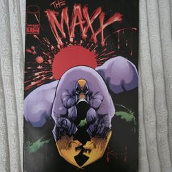 The Maxx Comic Book Lot