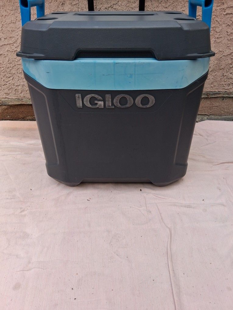 Igloo  Cooler 