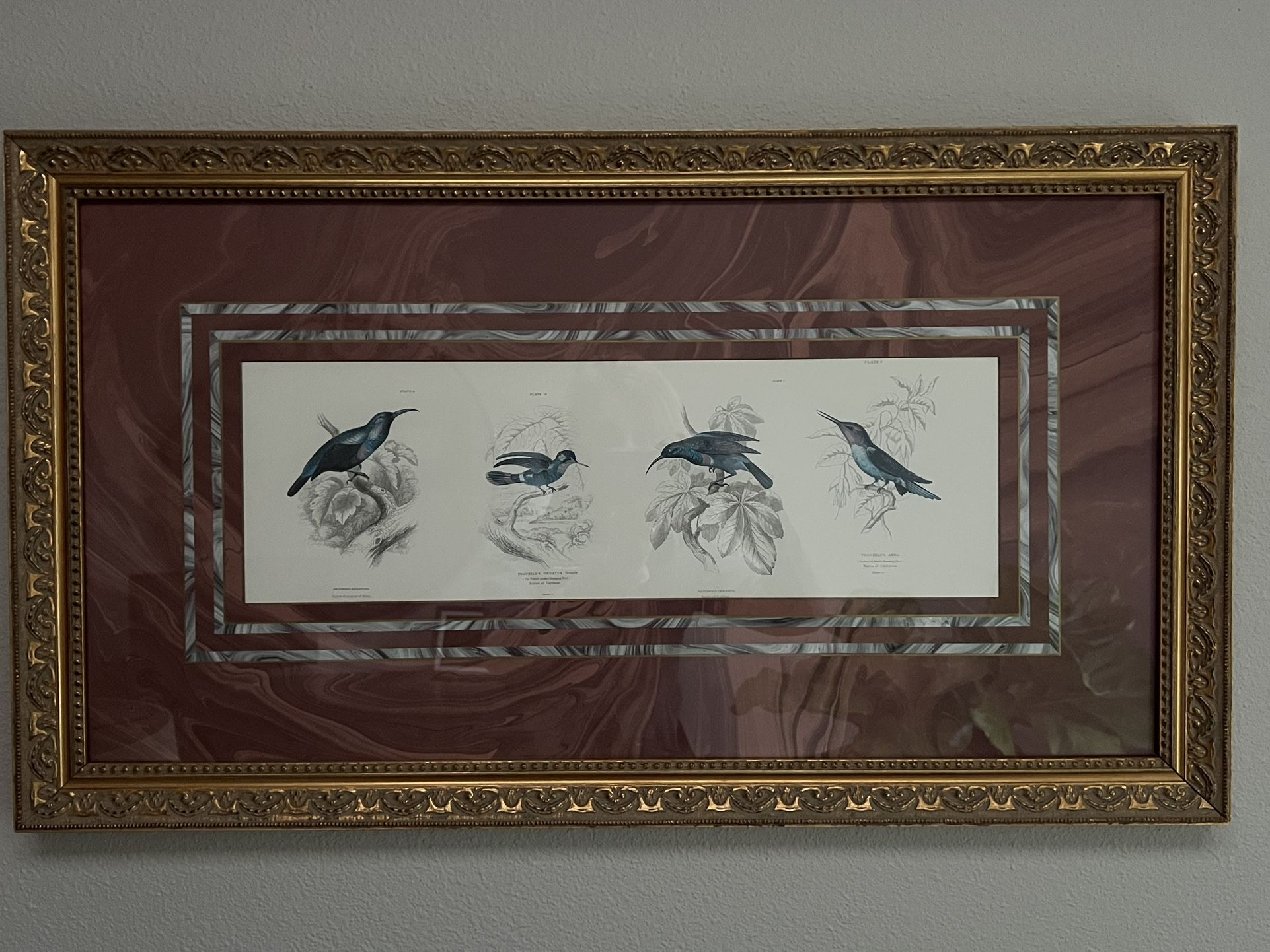 Set Of Two Framed And Matted Bird Prints