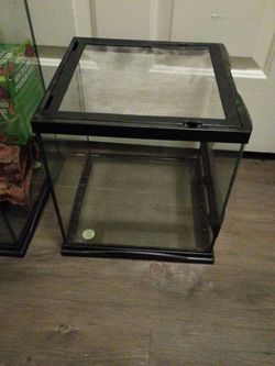 Reptile aquarium