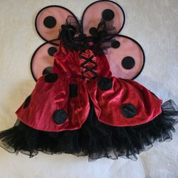 Ladybug Size 4-6