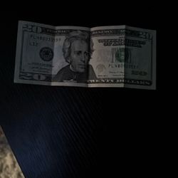 Just A 20 Bill