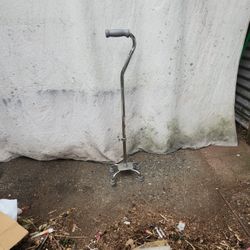 Adjustable Cane