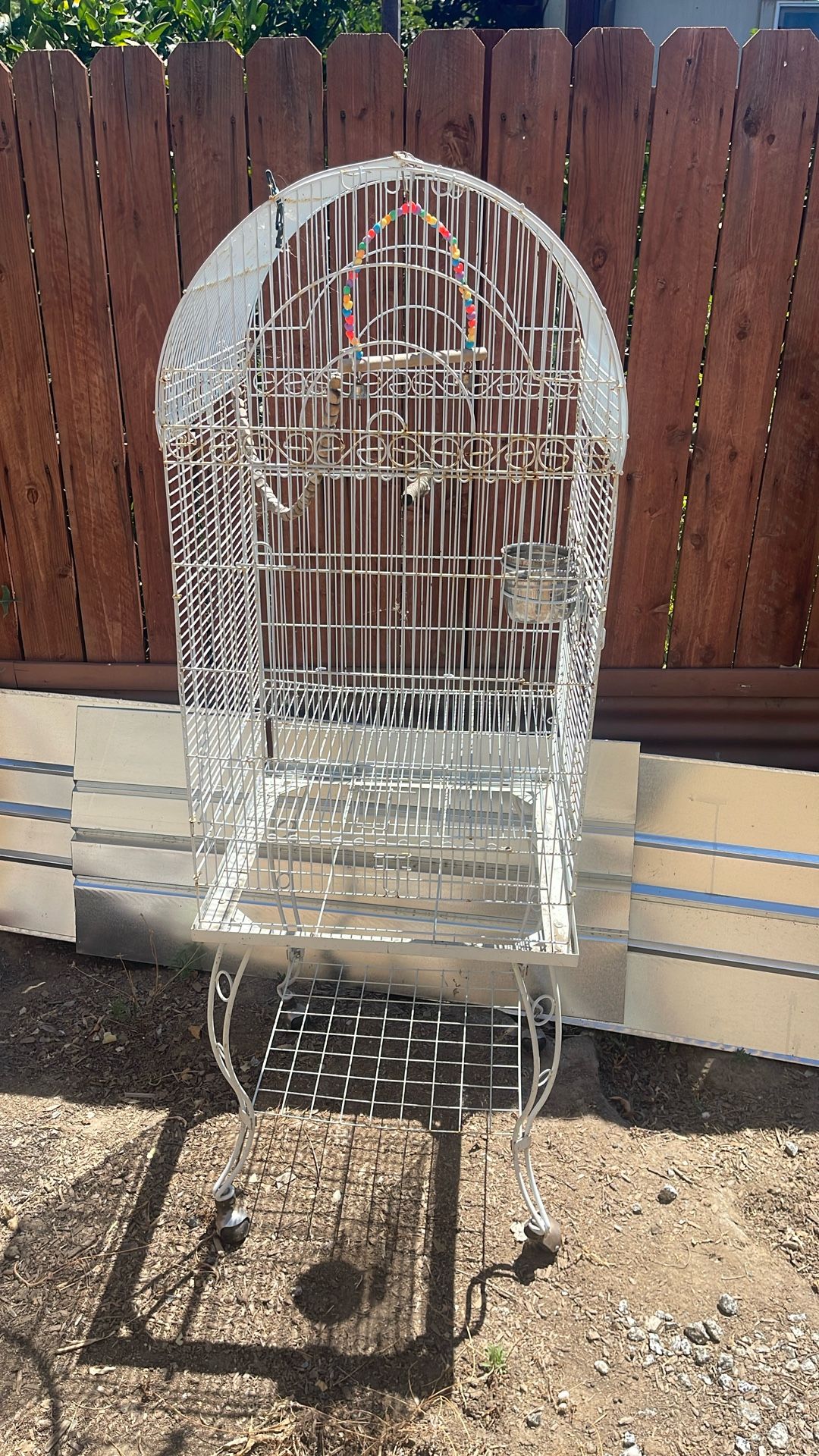 Bird Cage