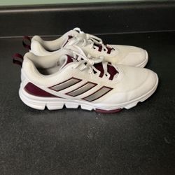 Adidas Trainer Shoe