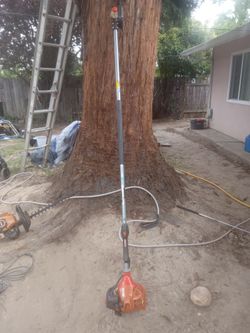 Echo tree trimmer