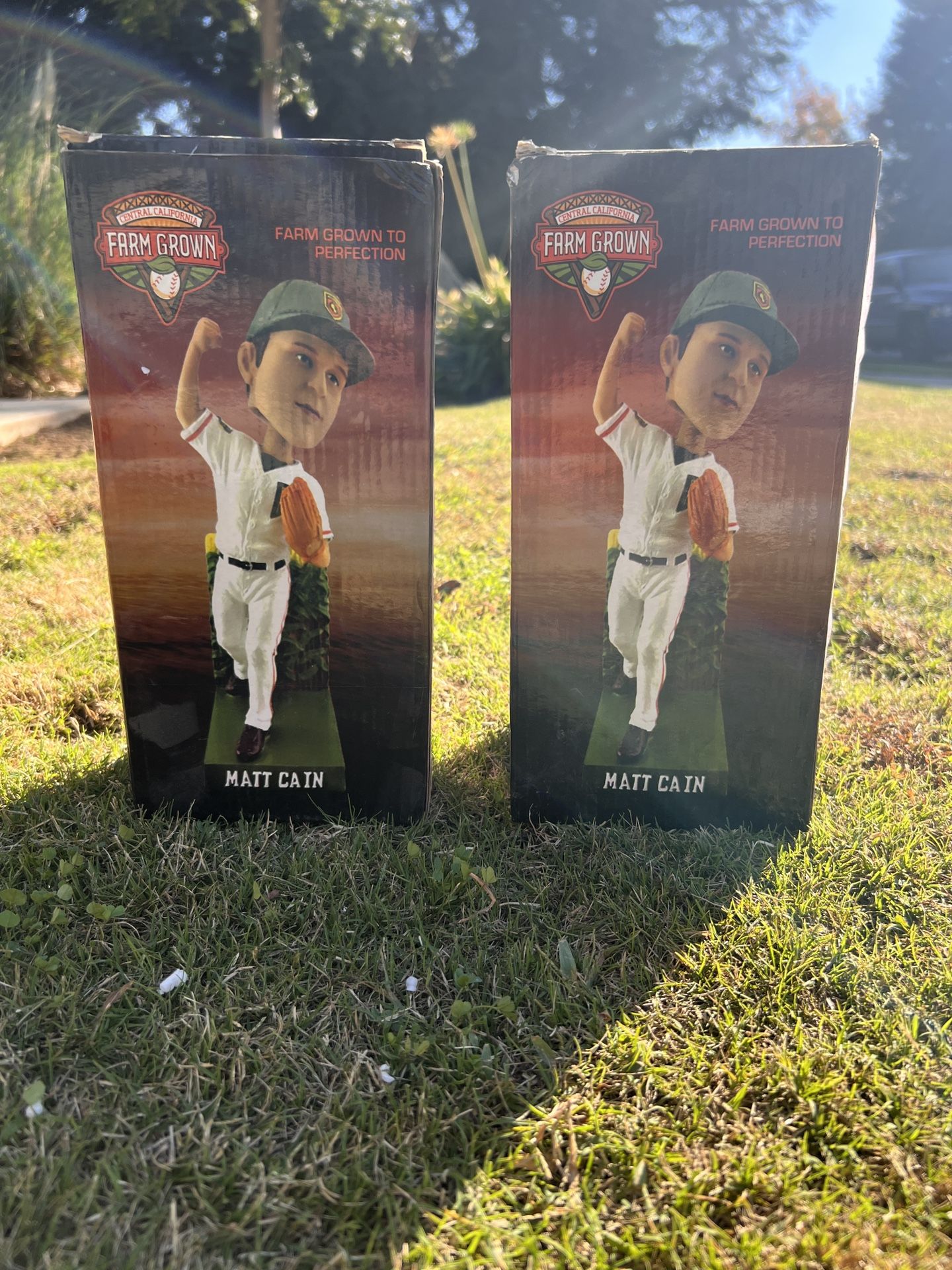 2013 Matt Cain San Francisco Giants Fresno Grizzlies Farm Grown Bobblehead (20EACH)