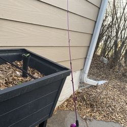 Zebco Fishing Pole 