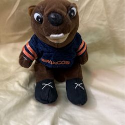 Denver Bronco Collector Item