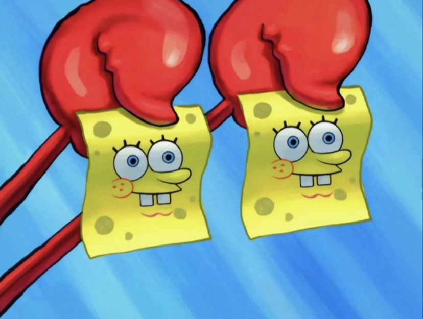 krusty sponge napkins