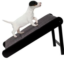 Small Dog Pet Ramp