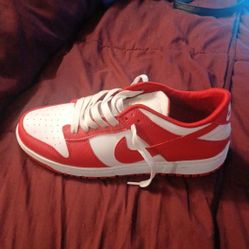 Nikes Dunk