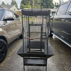 Bird Cage
