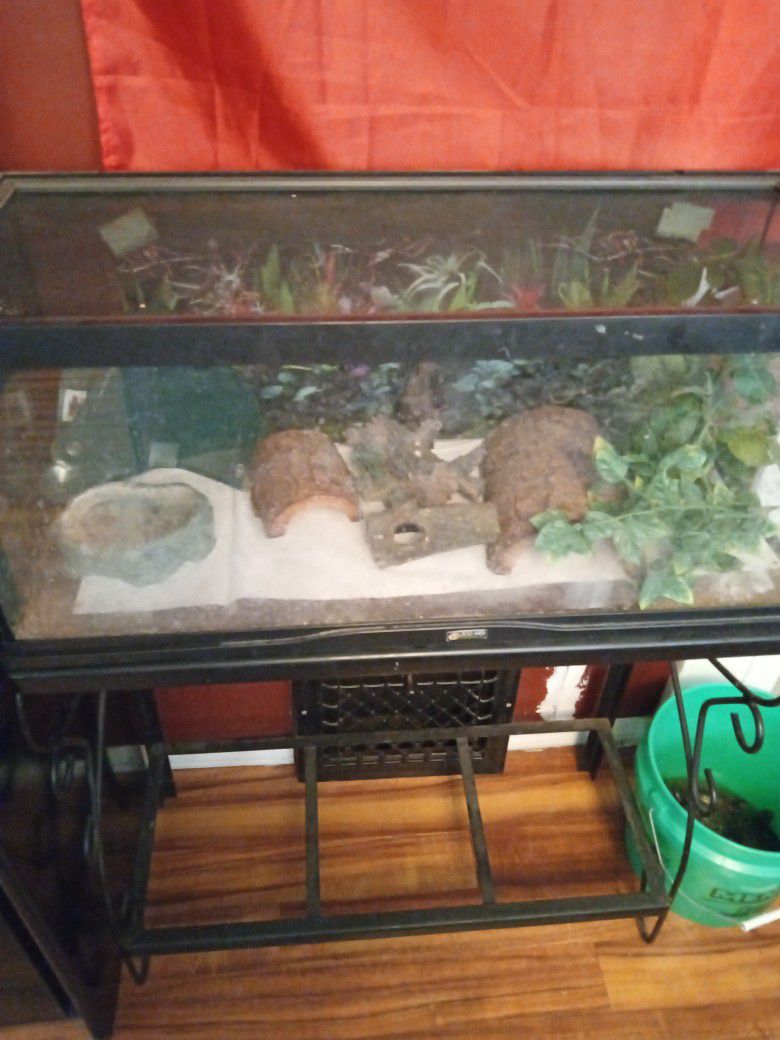 Reptile Tank 20 Gallon With Lid And Accessories