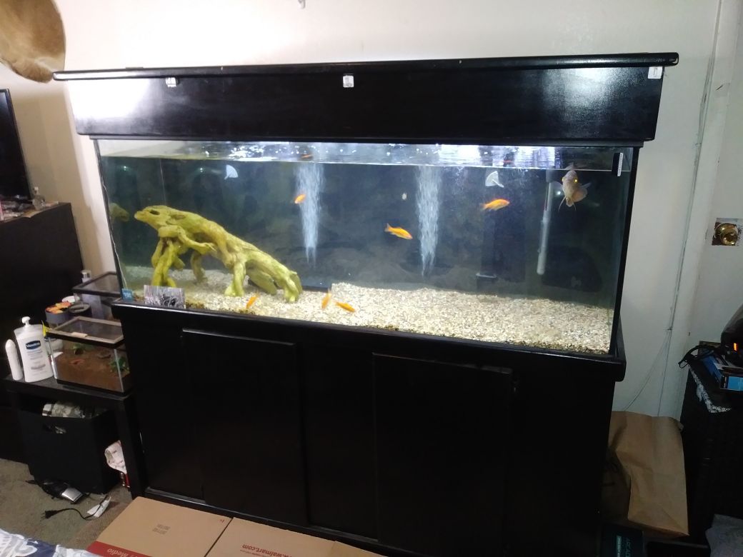 100 Gallon Visio Aquarium Fish Tank