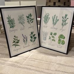 Original Watercolor Frame