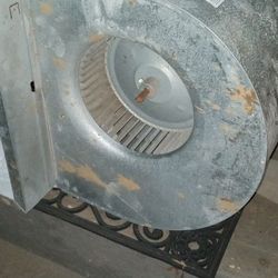 Squirrel Cage Fan