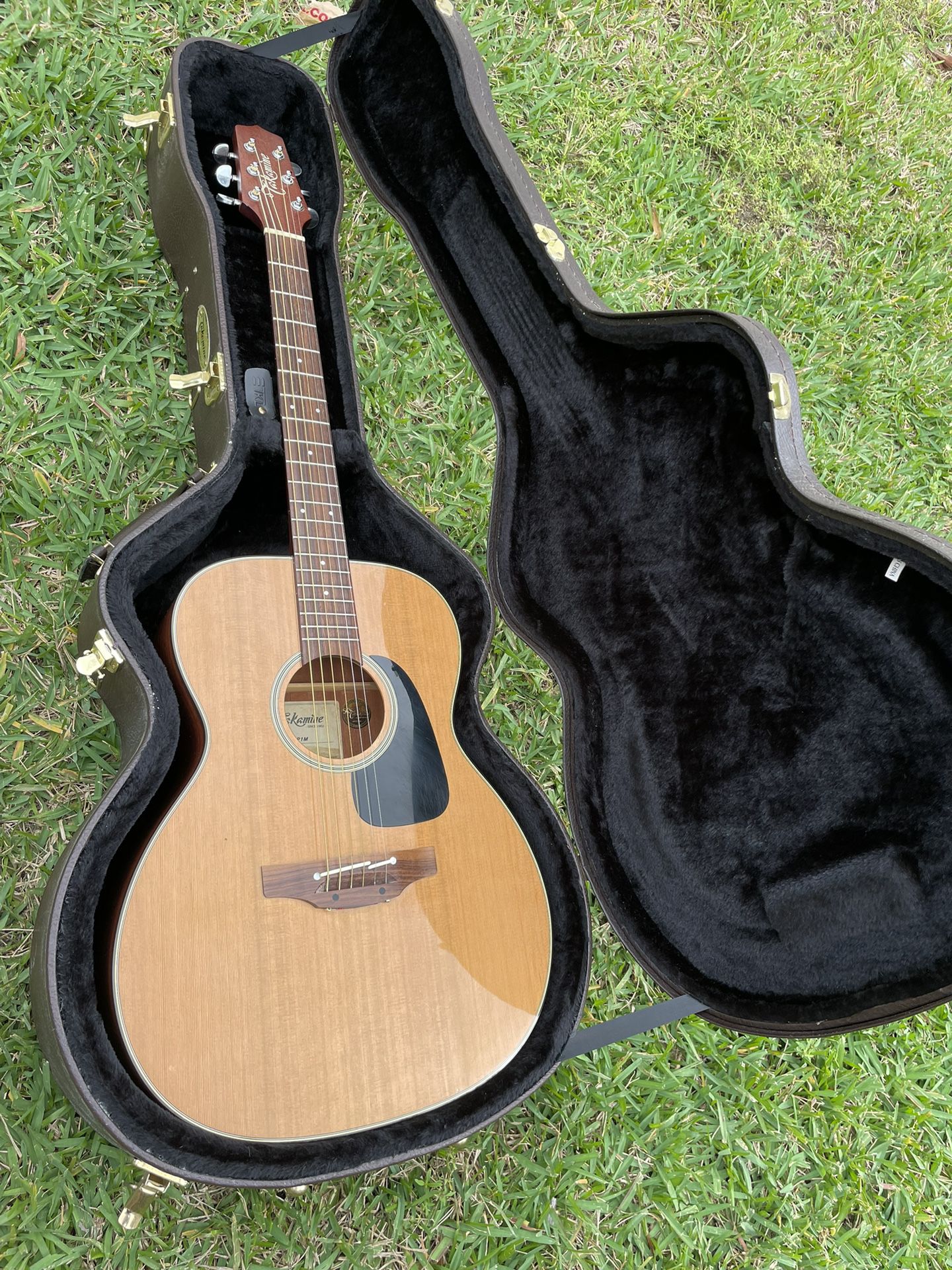 Takamine Pro Series P1 With Case