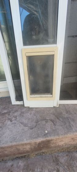 Doggy Door