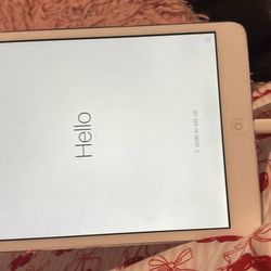 I Pad Mini White 