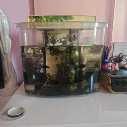 FISH TANK / FISHTANK / AQUARIUM 